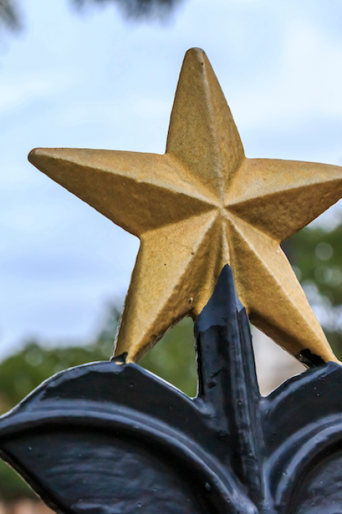 Texas State Capitol Building — public support is dwindling for anti-ESG laws in states like texas 